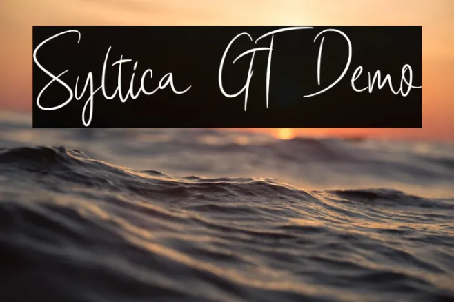 Syltica GT Demo Example 3