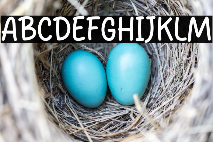 Sylvia Angel Example 2