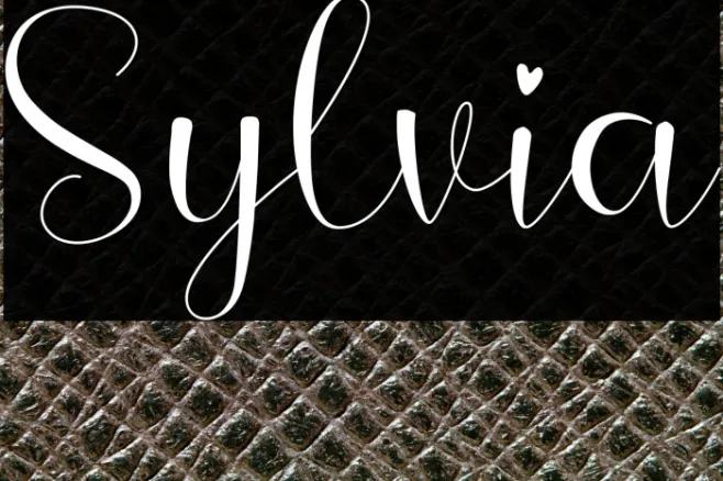 Sylvia Example 1