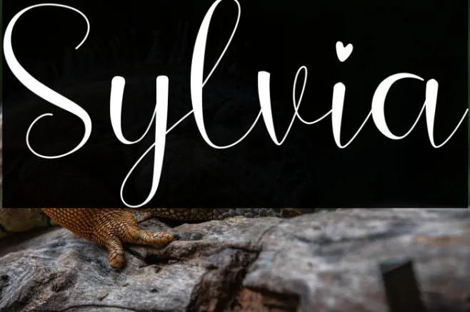 Sylvia Example 2