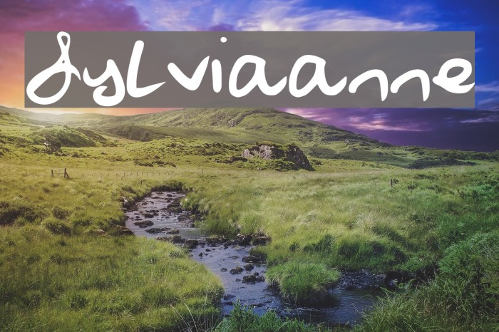 Sylviaanne Example 2