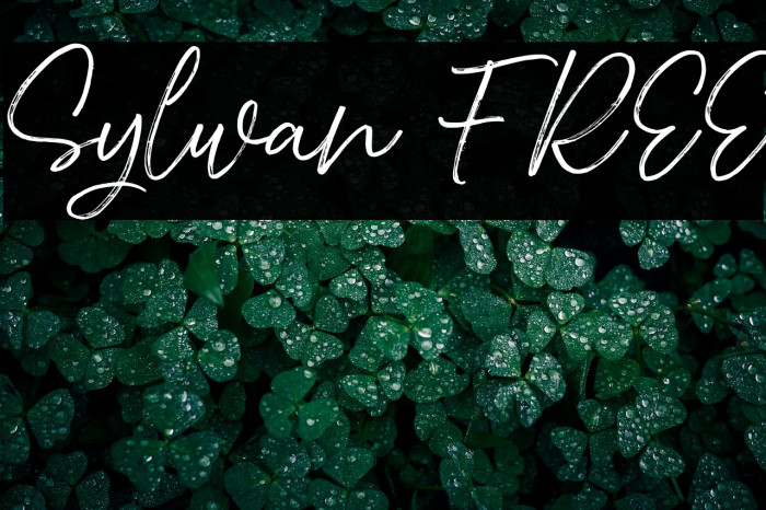 Sylwan FREE Example 1