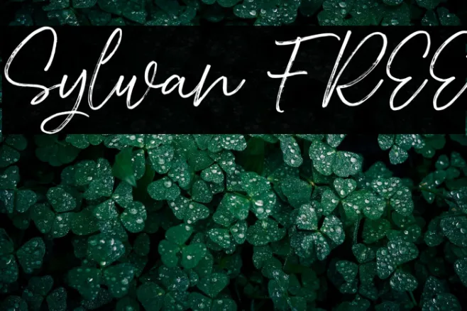 Sylwan FREE Example 1