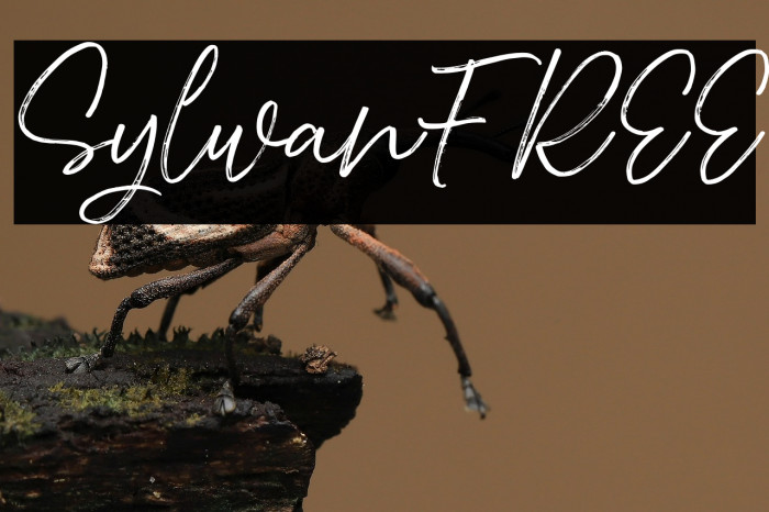 SylwanFREE Example 2