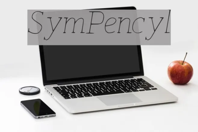 SymPencyl Example 1