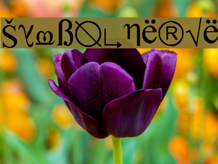 SymbolNerve Font examples