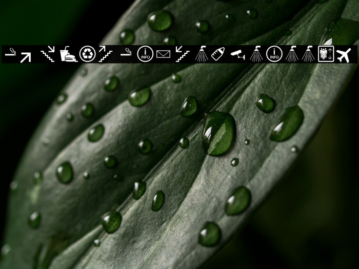 SymbolSigns-Basisset Example 1