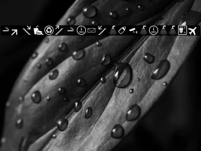 SymbolSigns-Basisset Font examples