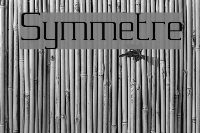 Symmetre Font examples