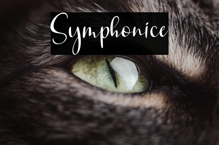 Symphonice Example 1