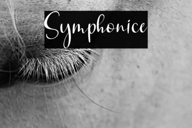 Symphonice Font examples