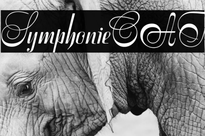 SymphonieCAT Example 1