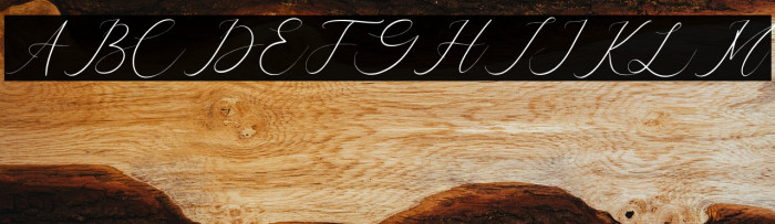 Symphonigraphy Example 1