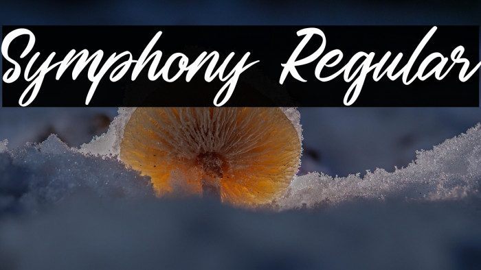 Symphony Regular Example 1