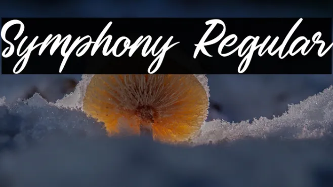 Symphony Regular Example 1