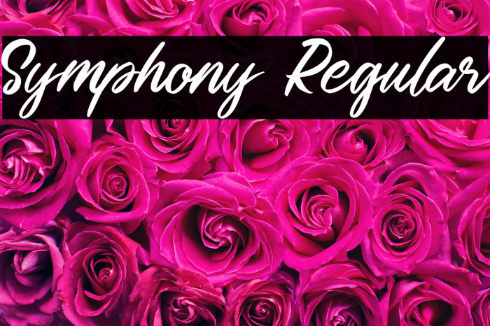 Symphony Regular Example 2