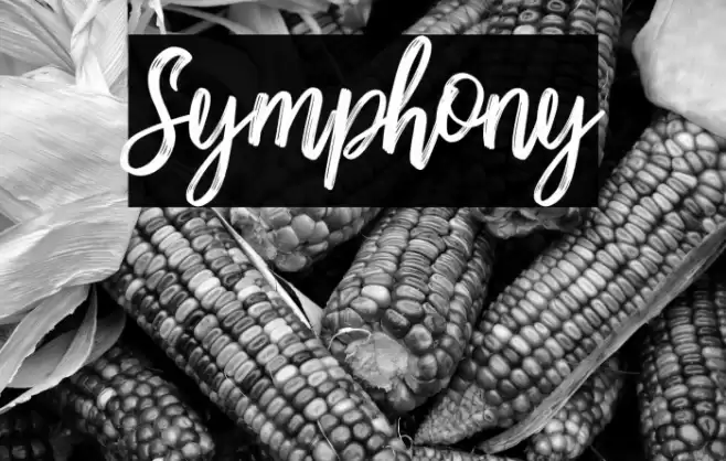 Symphony Font examples