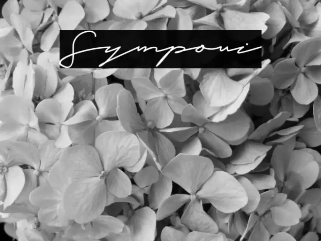 Symponi Font examples