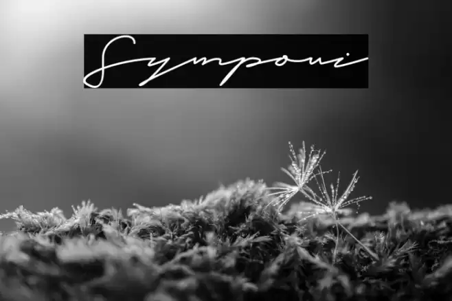 Symponi Font examples