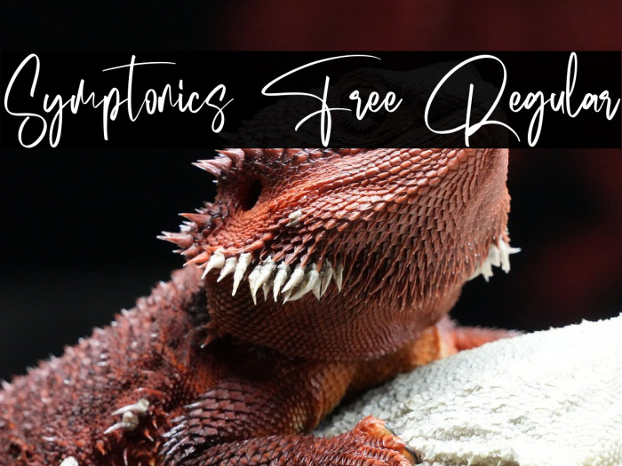 Symptonics Free Regular Example 1