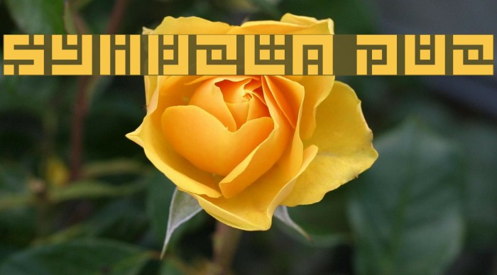 Symvola Duo Example 1