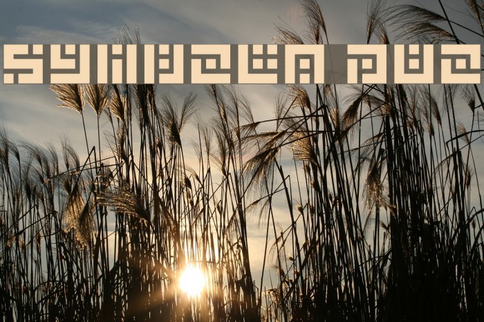 Symvola Duo Example 2