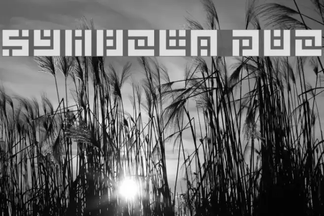 Symvola Duo Font examples