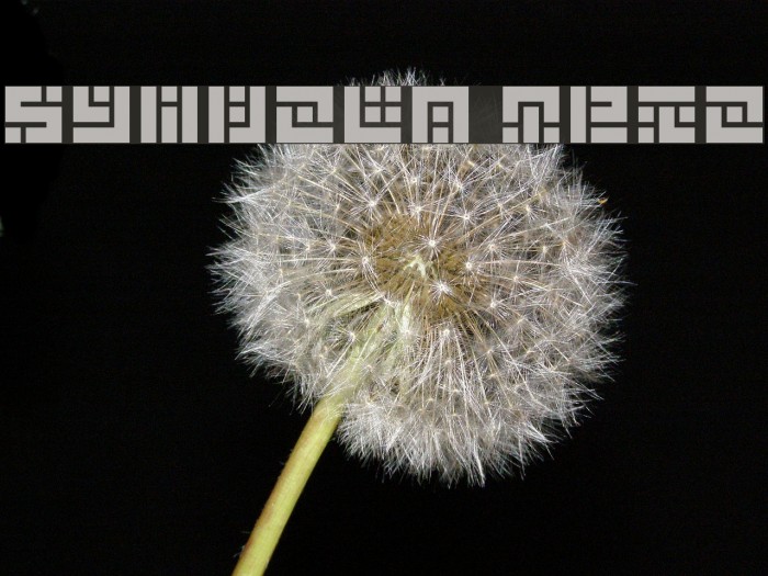 Symvola Trio Example 3