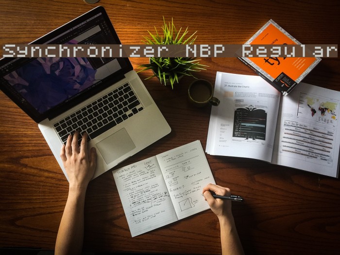 Synchronizer NBP Regular Font examples