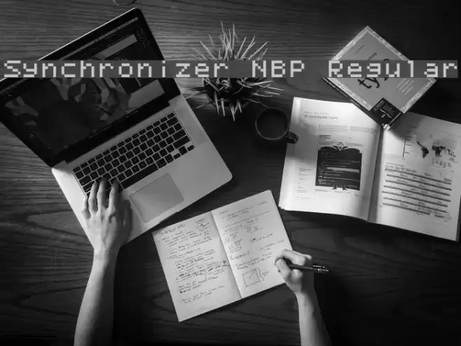 Synchronizer NBP Regular Fuentes examples
