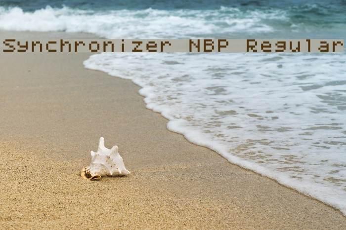 Synchronizer NBP Regular Font examples