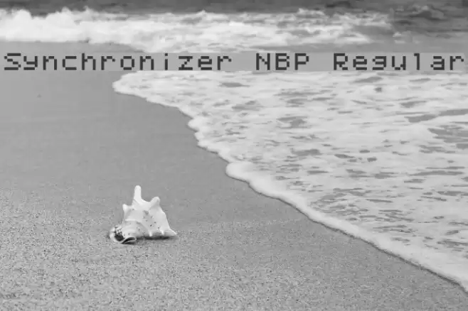 Synchronizer NBP Regular Fuentes examples