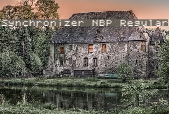 Synchronizer NBP Regular Font examples