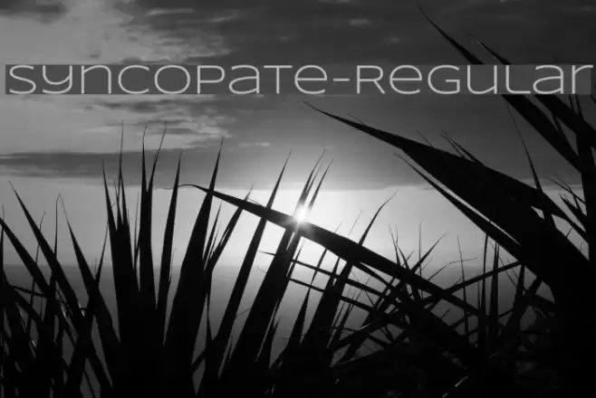Syncopate-Regular Font examples