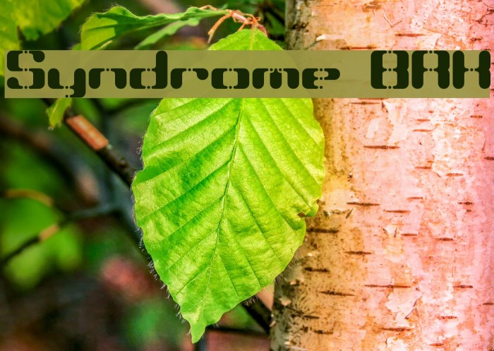 Syndrome BRK Font examples