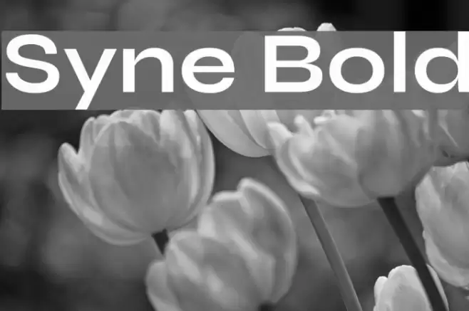 Syne Bold Font examples