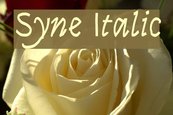 Syne Italic Font examples