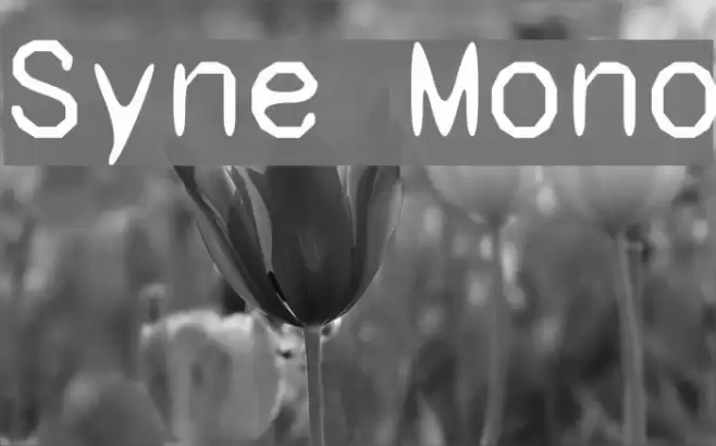Syne Mono Font examples