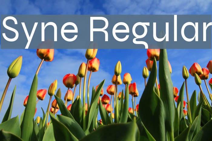 Syne Regular Font examples