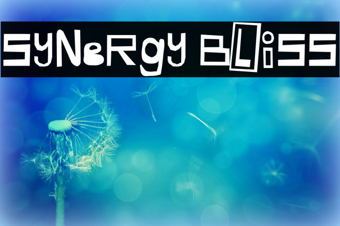 Synergy Bliss Font examples
