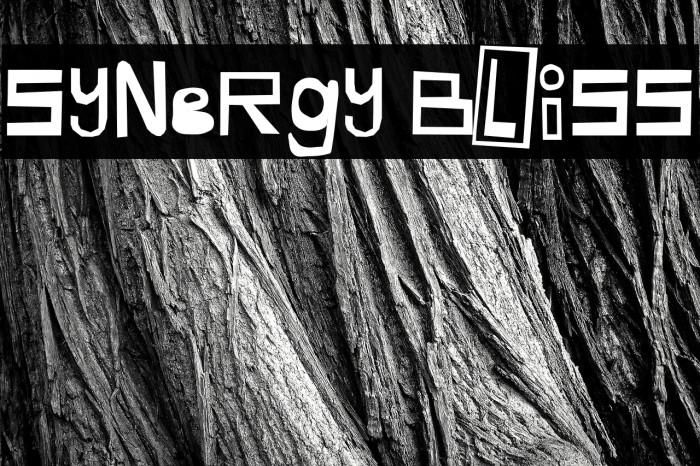 Synergy Bliss Font examples