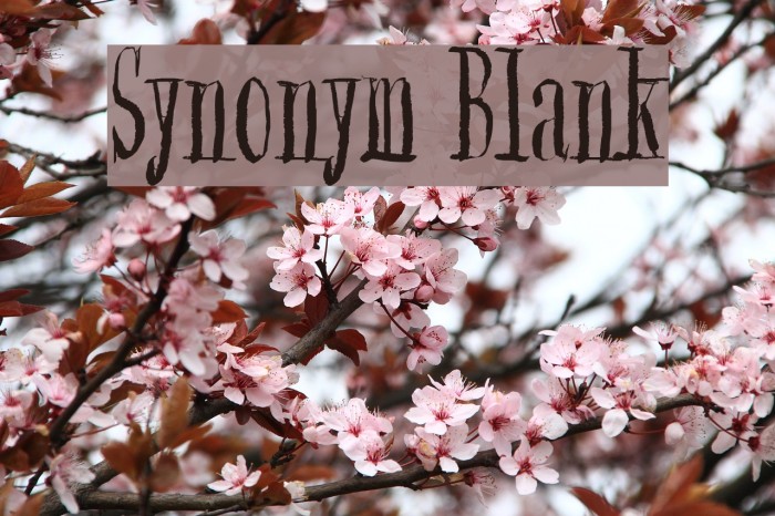 Synonym Blank Example 3