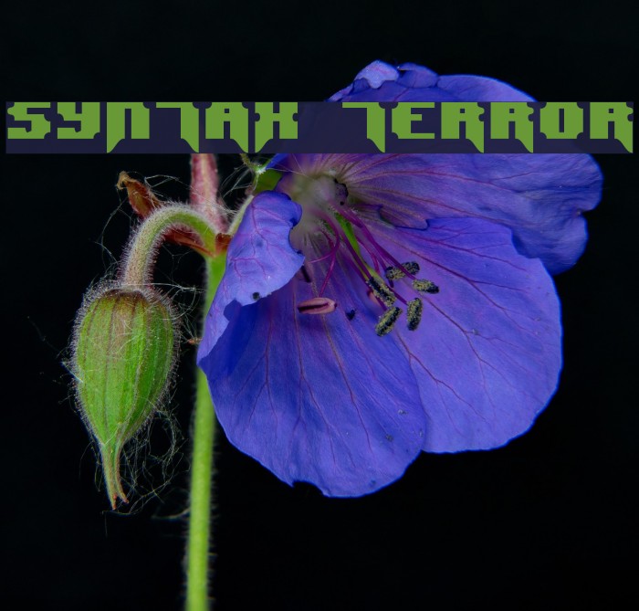 Syntax Terror Font examples