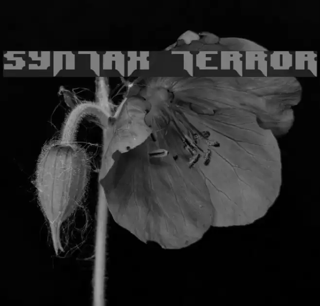 Syntax Terror フォント examples