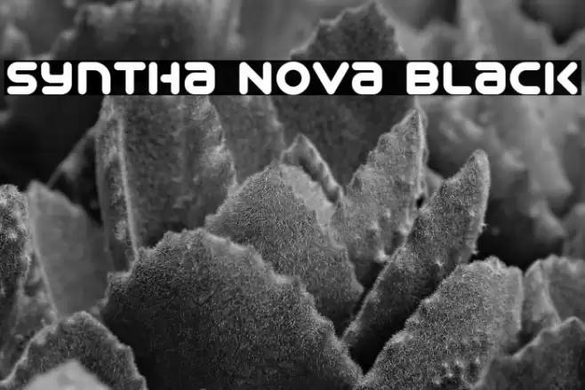 Syntha Nova Black Font examples