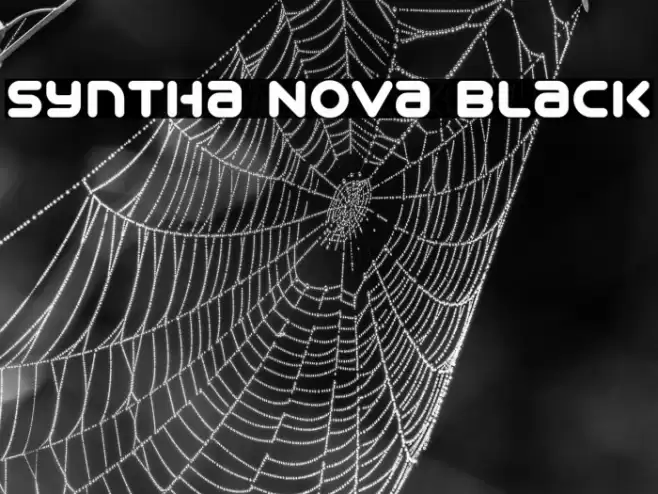 Syntha Nova Black Font examples