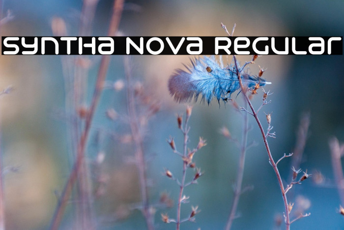 Syntha Nova Regular Example 2