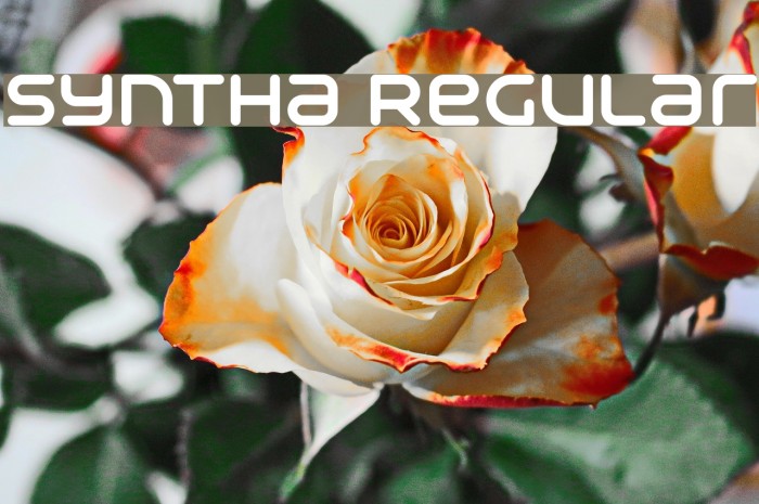 Syntha Regular Font examples