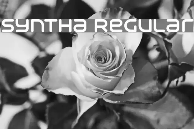Syntha Regular Font examples