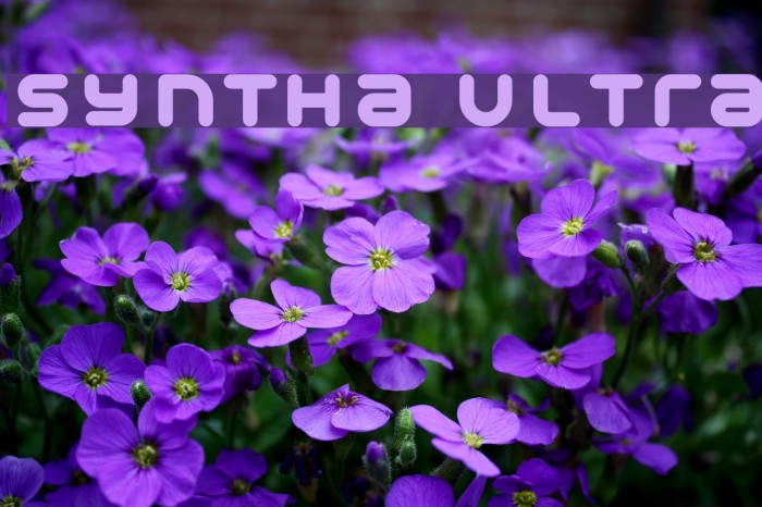 Syntha Ultra Example 1